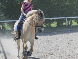 img_3300_web